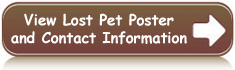 View Lost Pet Poster and Contact Information