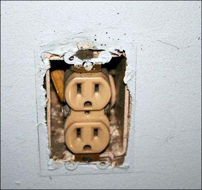 Excrement Spots on Wall Behind an Electrical Outlet Faceplate