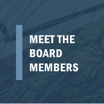 Meet the Board Members