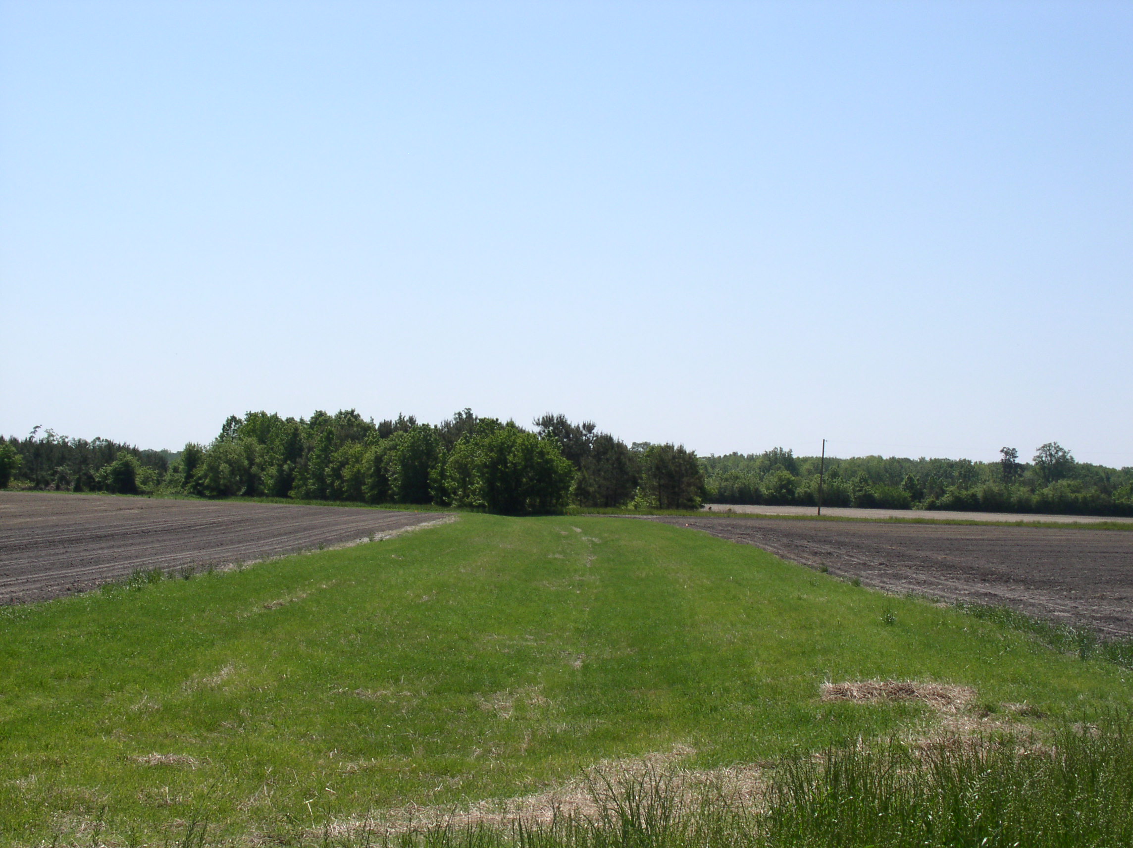 Image of Grassed Waterway