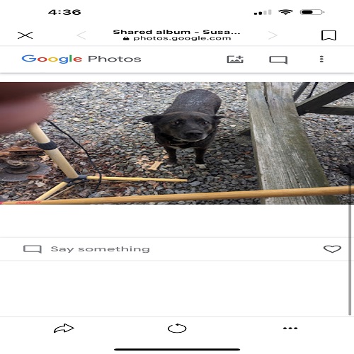 Image of 