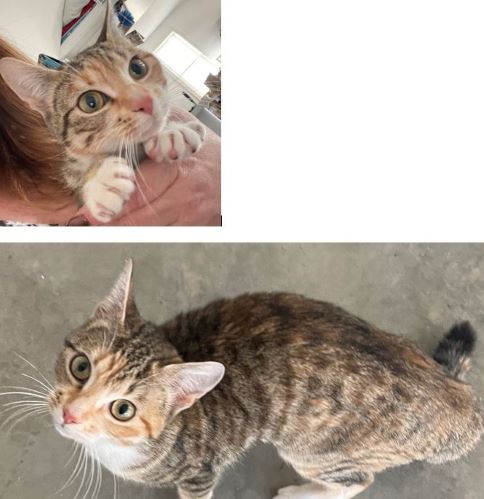 Image of I named her Holly