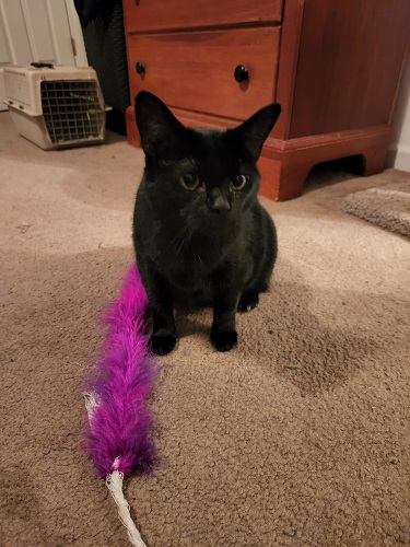 Image of Molly