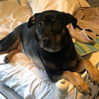 Image of Charlie