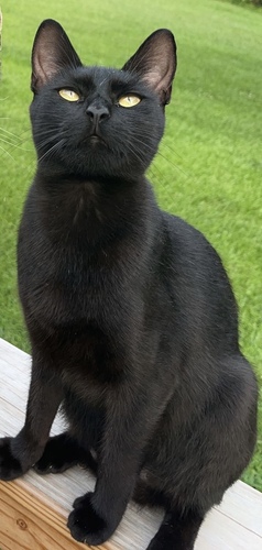 Image of Lucy