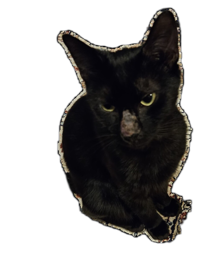 Image of Storm