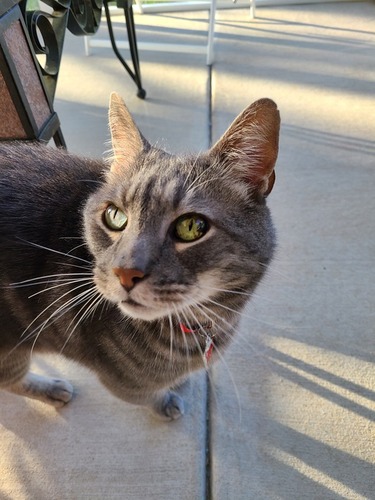 Image of Sebastian 