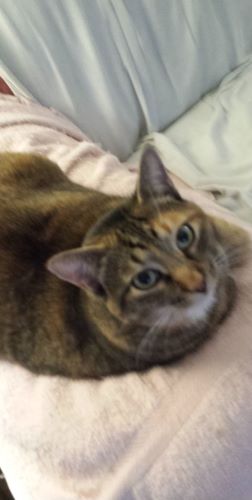 Image of Olivia