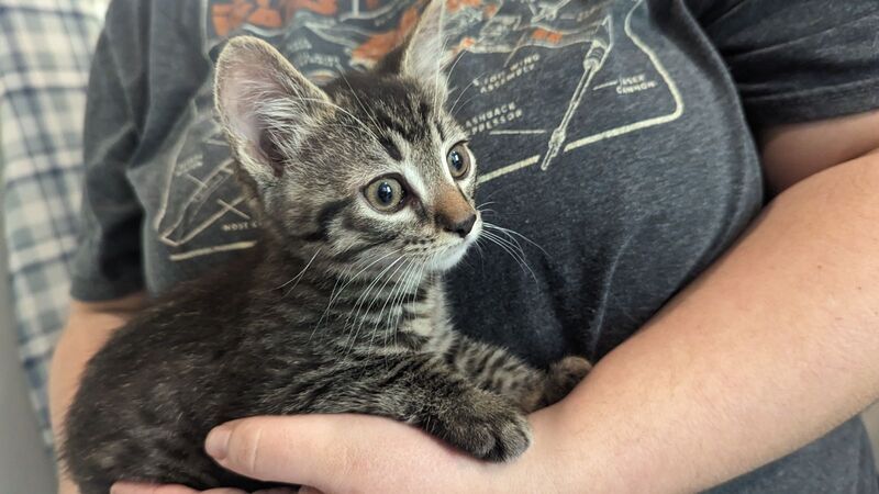 Image of Finley 