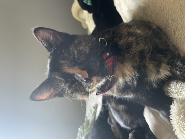 Image of Olivia