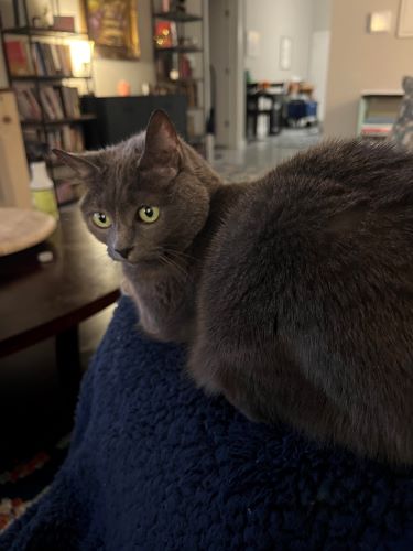 Image of Carol