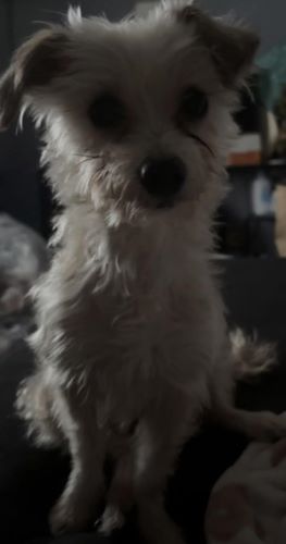 Image of Holly 
