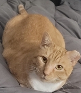 Image of Marlo 
