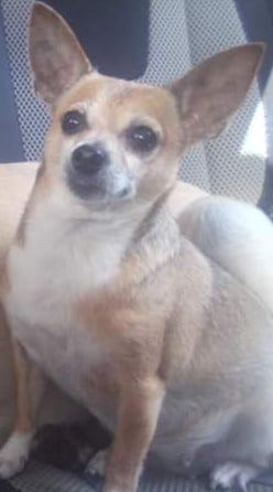 Image of Luki