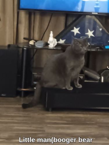 Image of Lil man