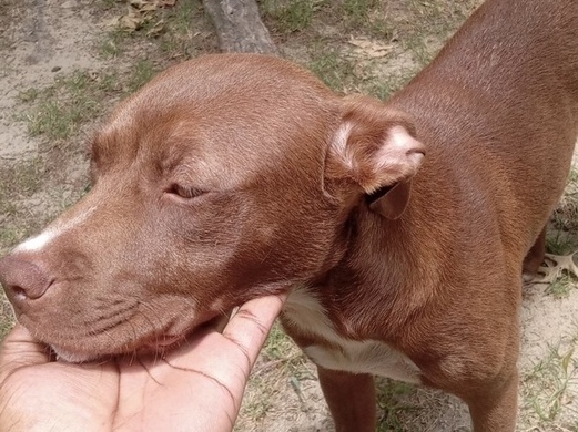 Image of Sasha