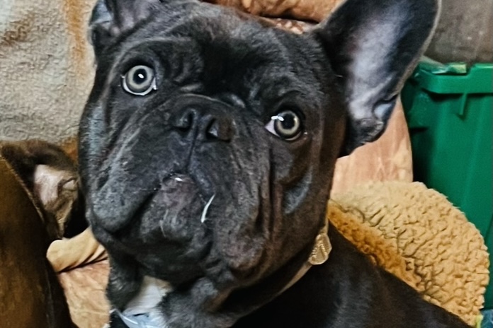Image of Tater