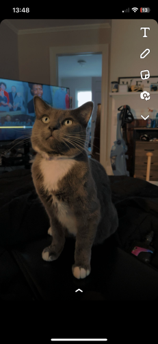 Image of Thor
