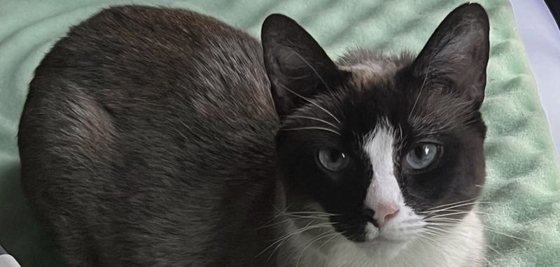 Image of Beasley