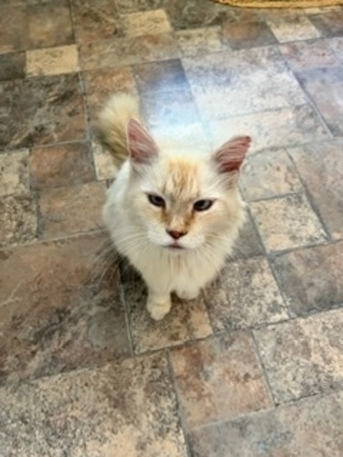 Image of Roscoe