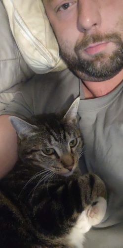 Image of Bojangles 