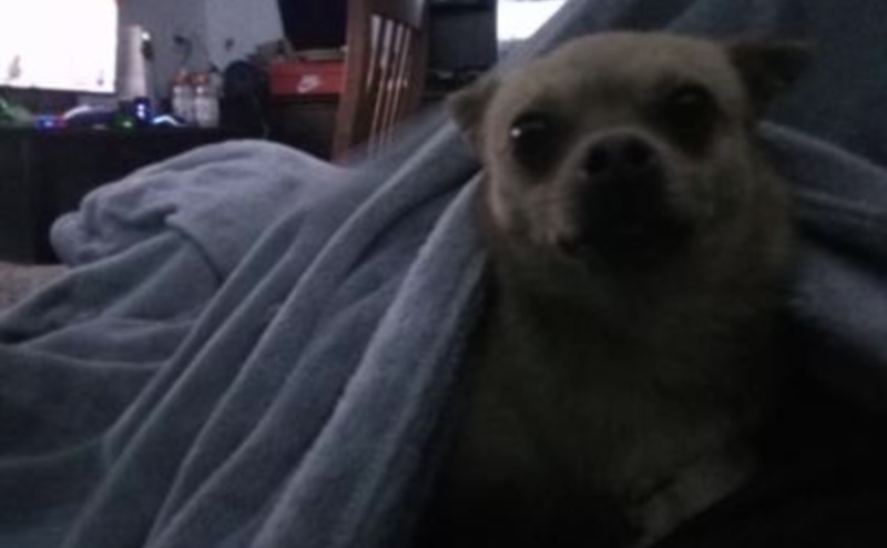 Image of Tomi 