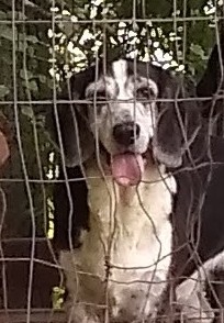 Image of Otto