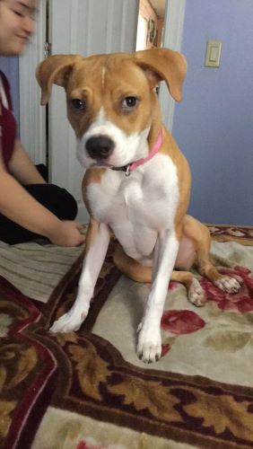 Image of Bella