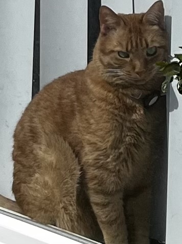 Image of George