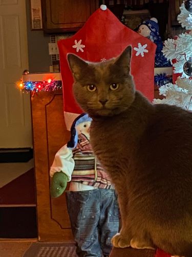 Image of Chloe 