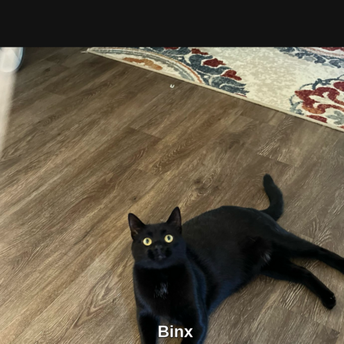 Image of Binx