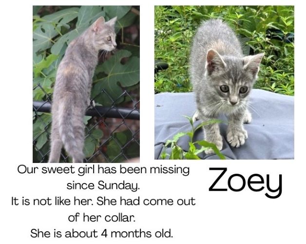Image of Zoey