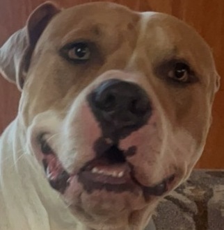 Image of Jake