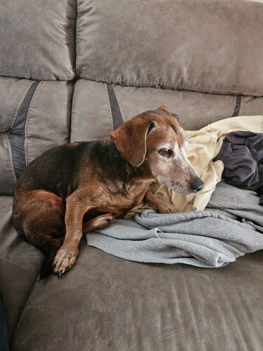 Image of Rosko P Coltrane Page