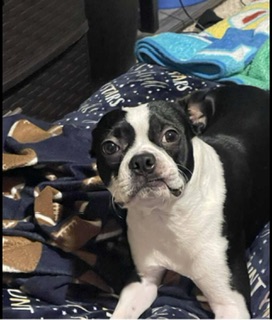 Image of Pablo