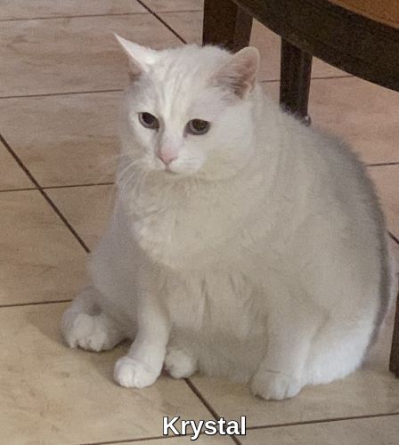 Image of Krystal