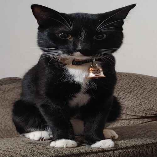 Image of Bubba