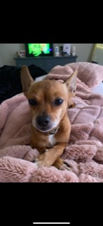 Image of Layla