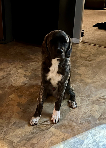 Image of Junior