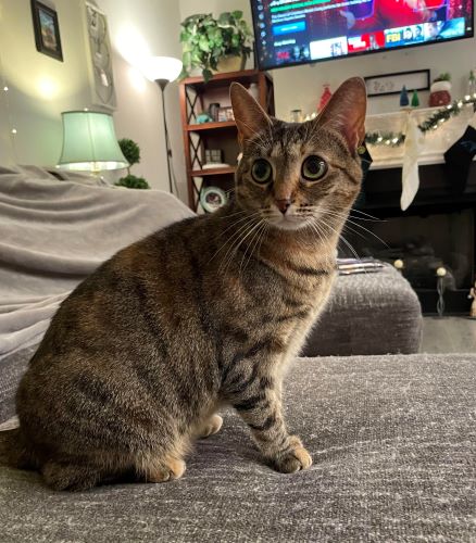 Image of Lucy