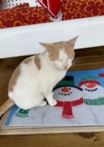 Image of Bo Bo