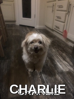Image of CHARLIE