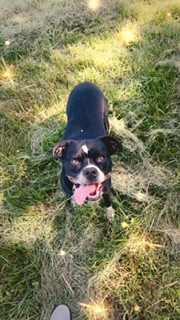 Image of Ollie Mae