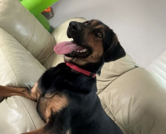 Image of Loretta 
