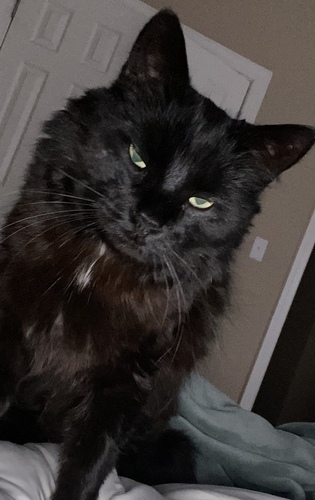 Image of Winky