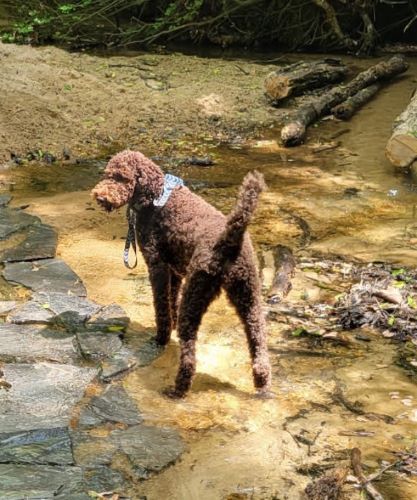 Image of Molly