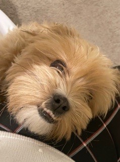 Image of Daizee