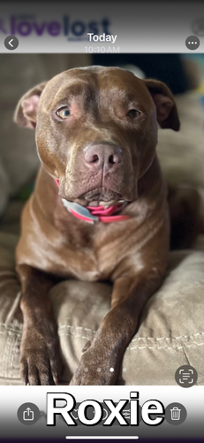Image of Roxie