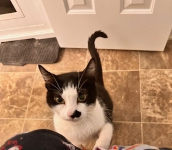 Image of Charlie