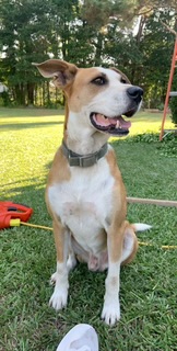 Image of Payaso